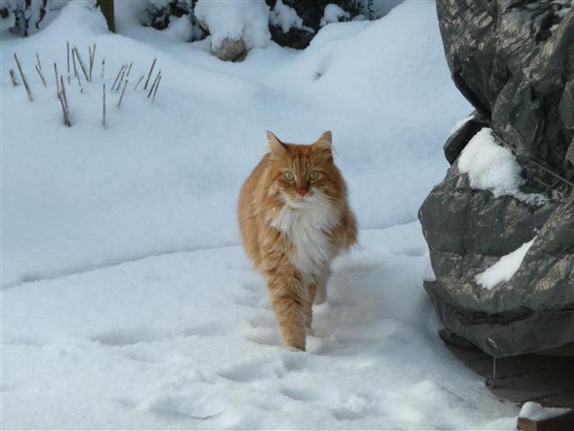 20100103 (Small) (48K)